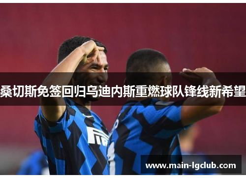 桑切斯免签回归乌迪内斯重燃球队锋线新希望