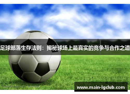 足球部落生存法则：揭秘球场上最真实的竞争与合作之道