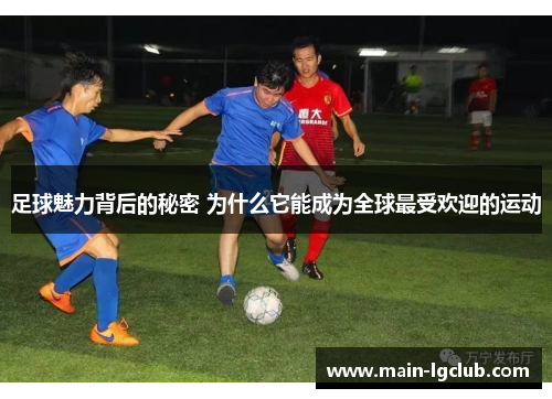 足球魅力背后的秘密 为什么它能成为全球最受欢迎的运动